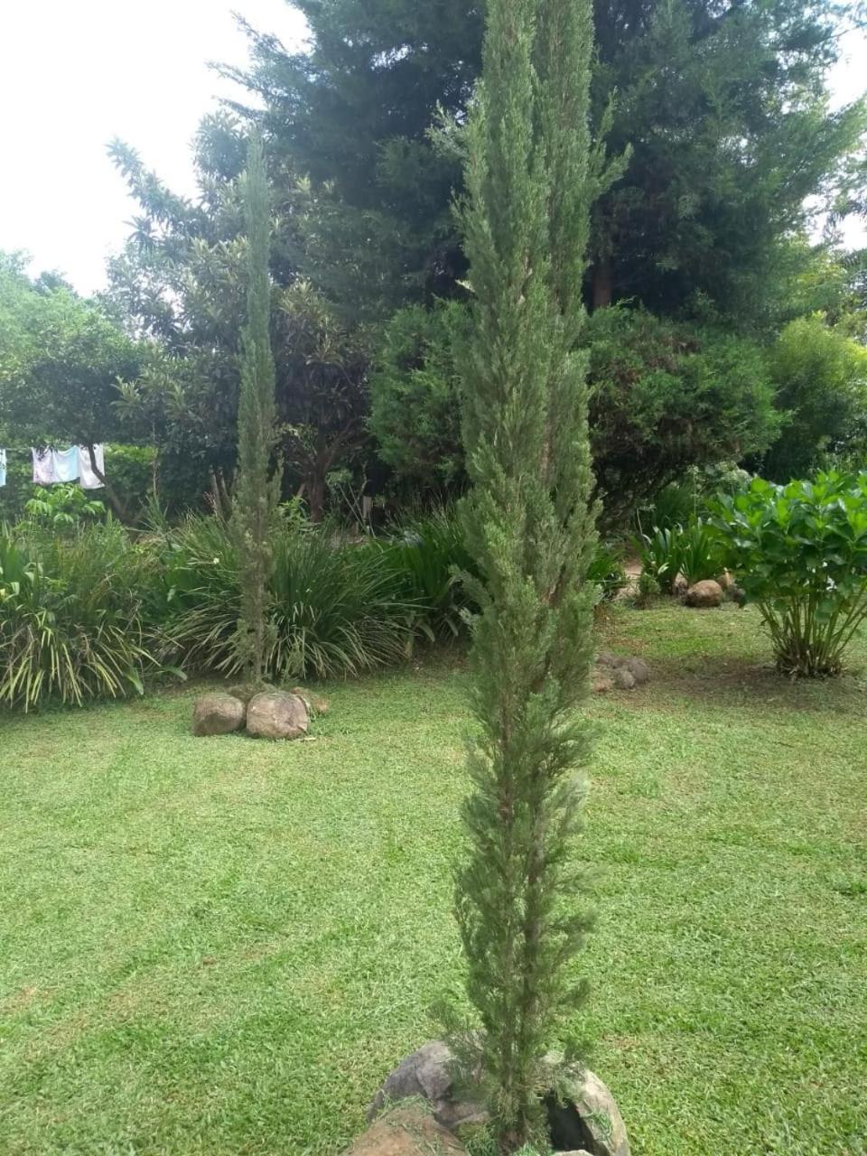 Residencial Saldanha Chalet Gramado